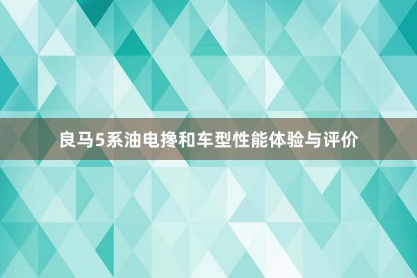 良马5系油电搀和车型性能体验与评价