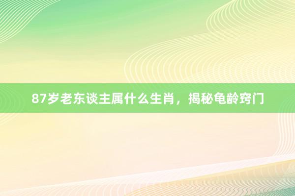 87岁老东谈主属什么生肖，揭秘龟龄窍门